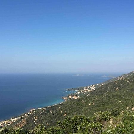 Ajaccio Magnifique T2 Neuf 40M2 Avec Balcon Au Trottel 4 Couchages Wifi Clim Parking Plage A Pieds 100M Exterior foto