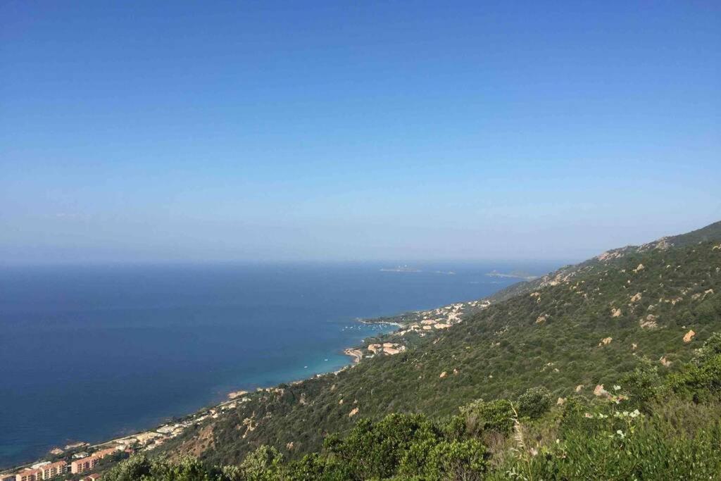 Ajaccio Magnifique T2 Neuf 40M2 Avec Balcon Au Trottel 4 Couchages Wifi Clim Parking Plage A Pieds 100M Exterior foto