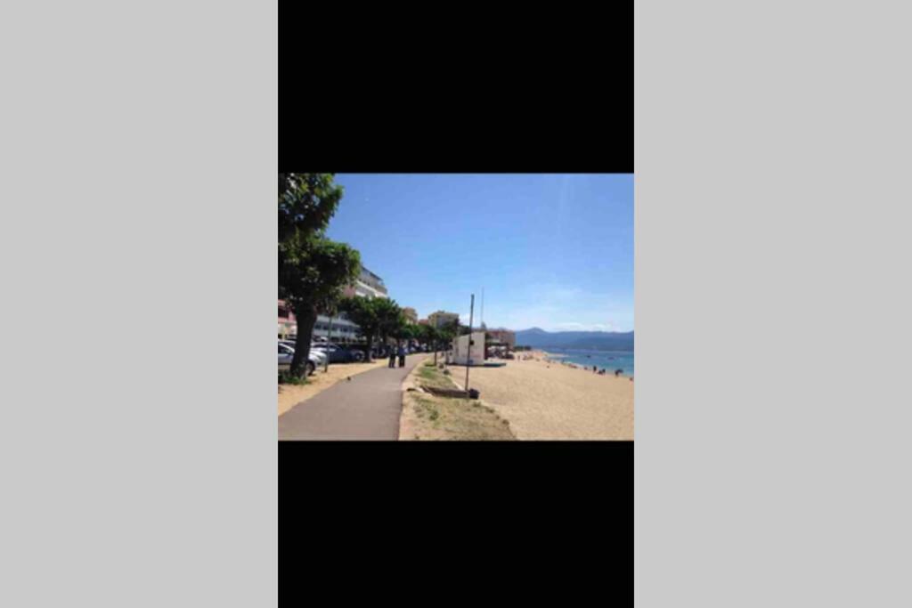 Ajaccio Magnifique T2 Neuf 40M2 Avec Balcon Au Trottel 4 Couchages Wifi Clim Parking Plage A Pieds 100M Exterior foto