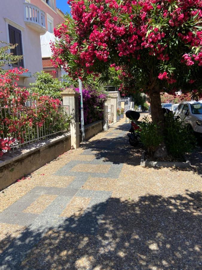 Ajaccio Magnifique T2 Neuf 40M2 Avec Balcon Au Trottel 4 Couchages Wifi Clim Parking Plage A Pieds 100M Exterior foto